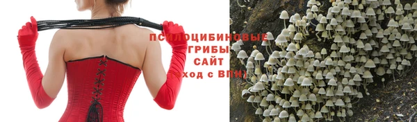 марки nbome Аркадак