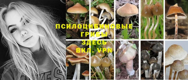 мескалин Армянск