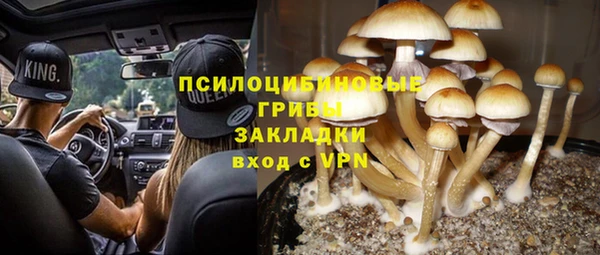 твердый Арсеньев