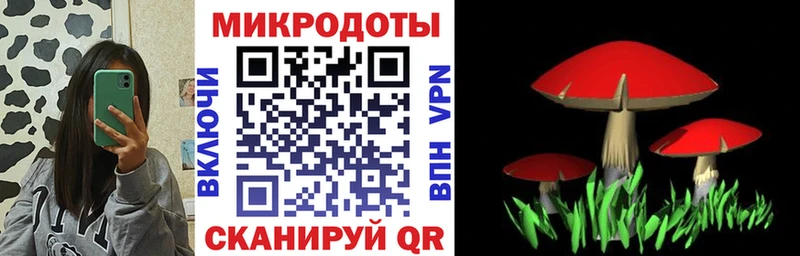 где продают наркотики  Лаишево  Галлюциногенные грибы Psilocybe 